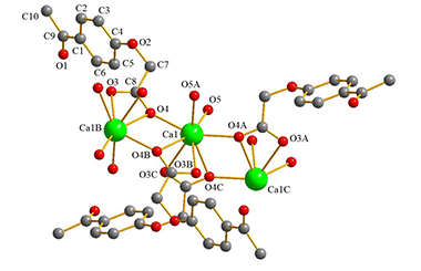 Synthesis, Crystal Structure and Antitumor Activity of a Ca(II) Coordination Polymer Based on 4-Acetylphenoxyacetate Ligands 2011-2860